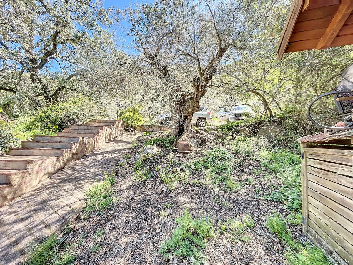 Finca - Cortijo te koop in Comares | 4 slaapkamers H5206006