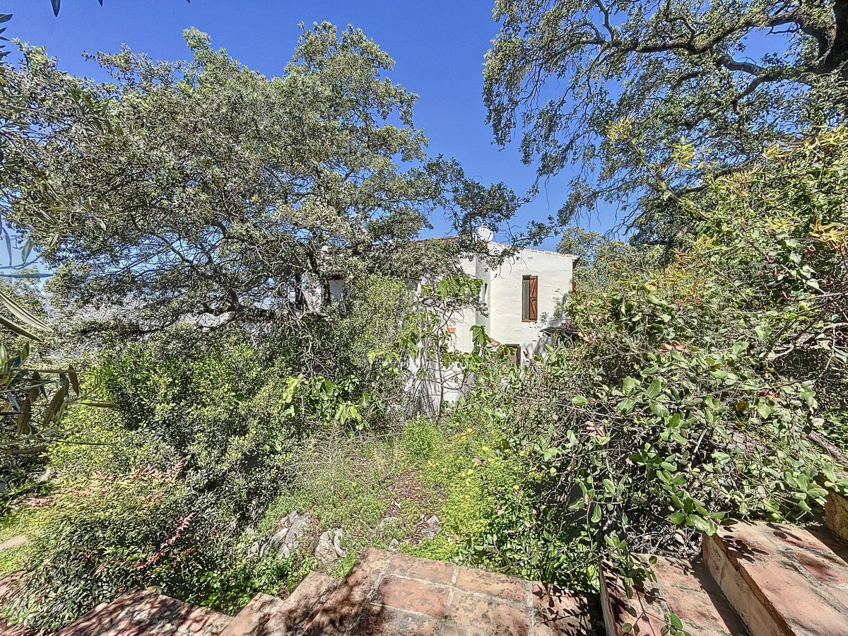 Finca - Cortijo te koop in Comares | 4 slaapkamers H5206006