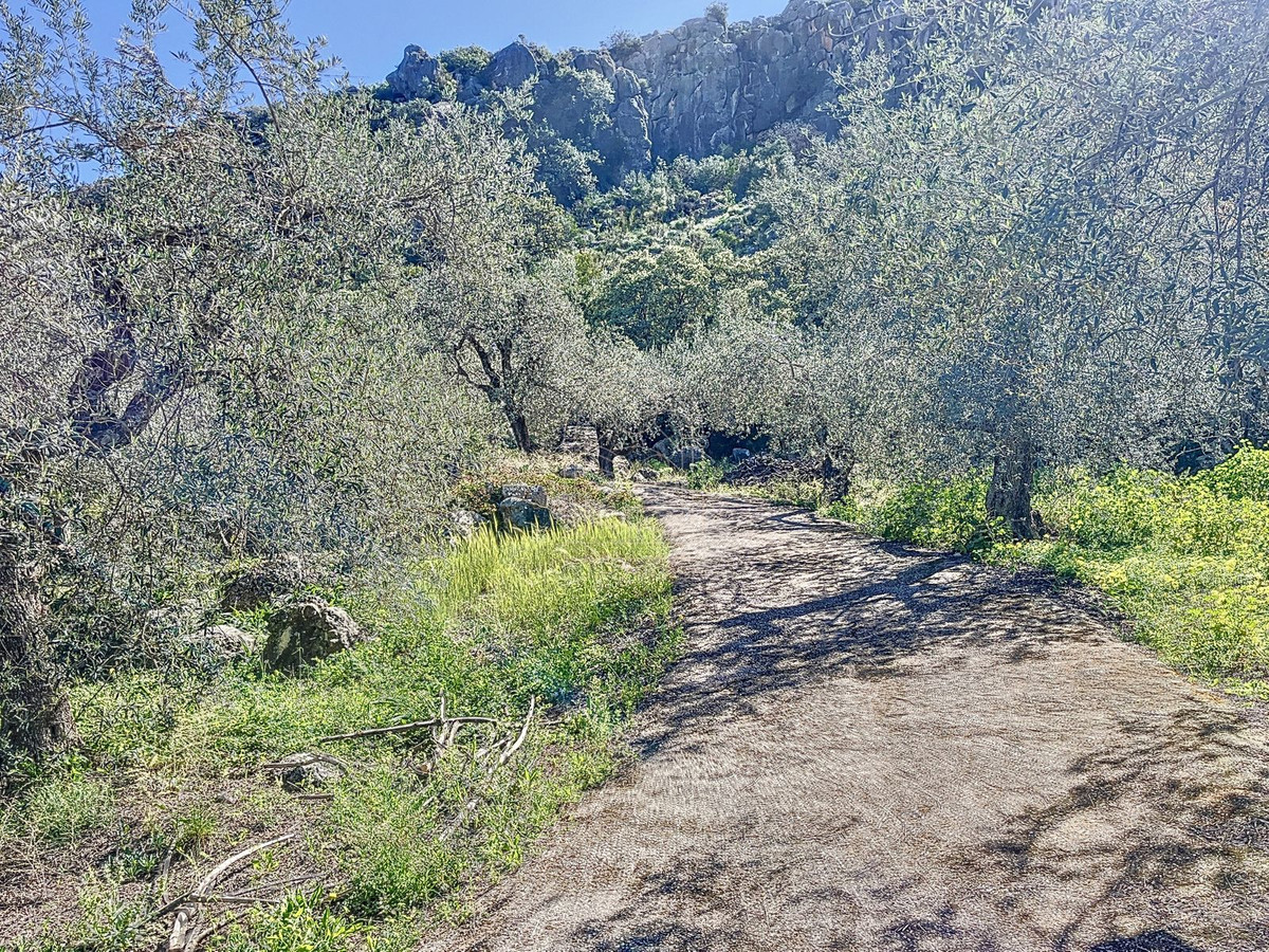 Finca - Cortijo te koop in Comares | 4 slaapkamers H5206006