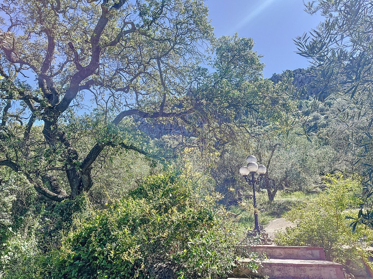 Finca - Cortijo te koop in Comares | 4 slaapkamers H5206006