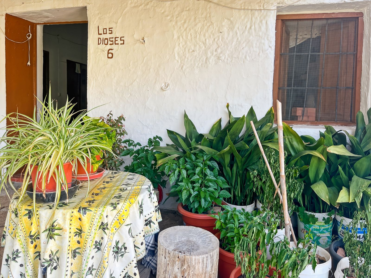 Finca - Cortijo te koop in Comares | 5 slaapkamers H5215210