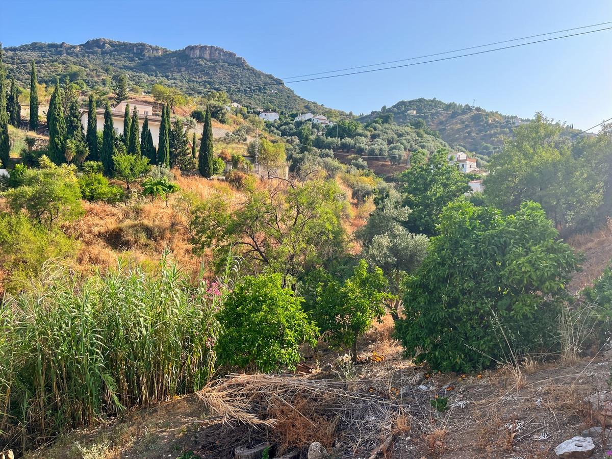 Finca - Cortijo te koop in Comares | 5 slaapkamers H5215210