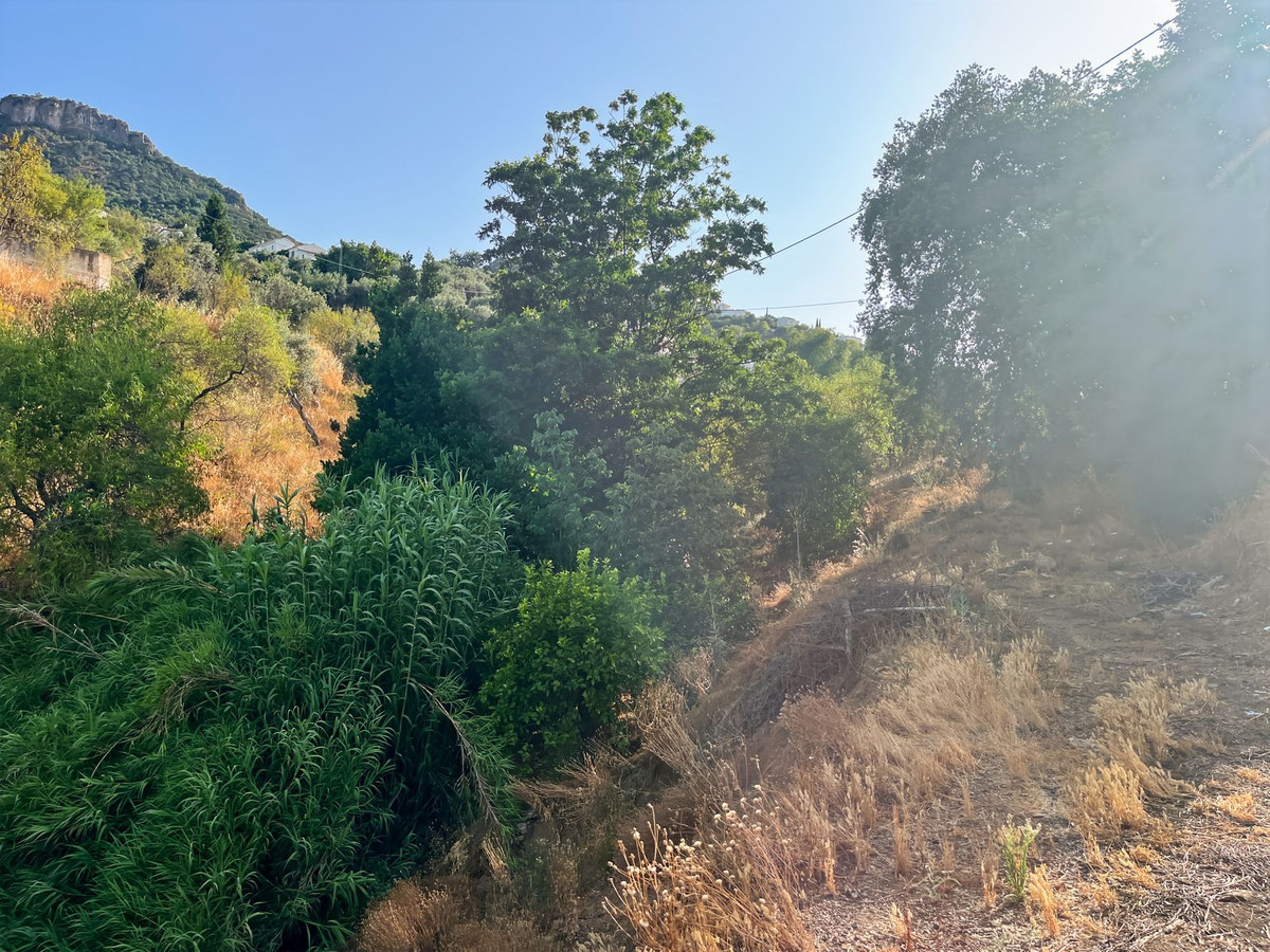 Finca - Cortijo te koop in Comares | 5 slaapkamers H5215210