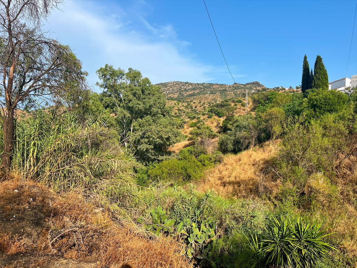 Finca - Cortijo te koop in Comares | 5 slaapkamers H5215210