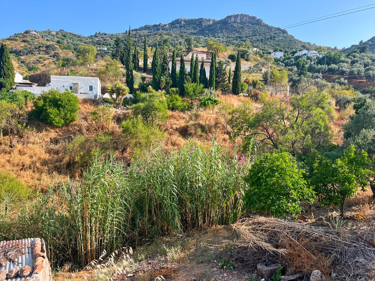 Finca - Cortijo te koop in Comares | 5 slaapkamers H5215210