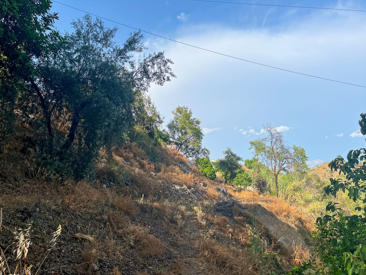 Finca - Cortijo te koop in Comares | 5 slaapkamers H5215210