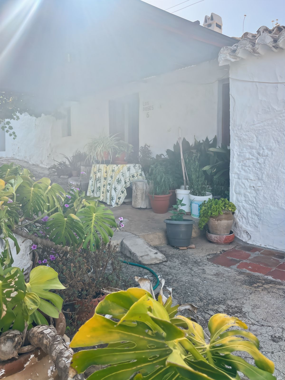 Finca - Cortijo te koop in Comares | 5 slaapkamers H5215210