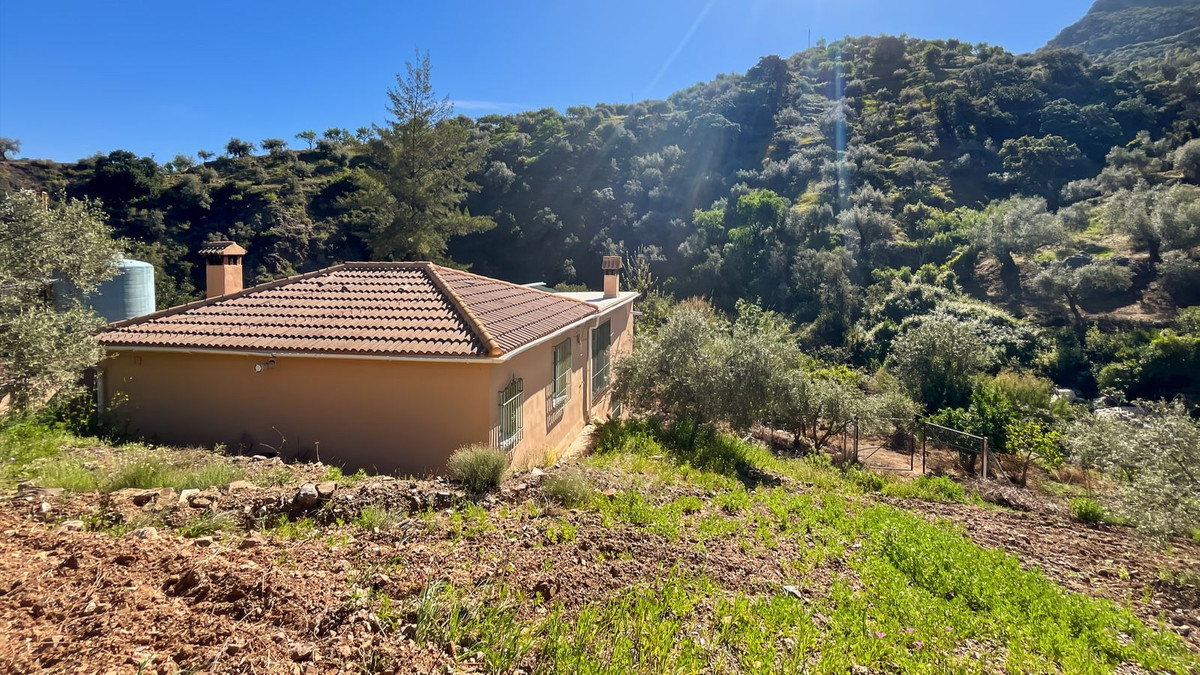 Property main view 60