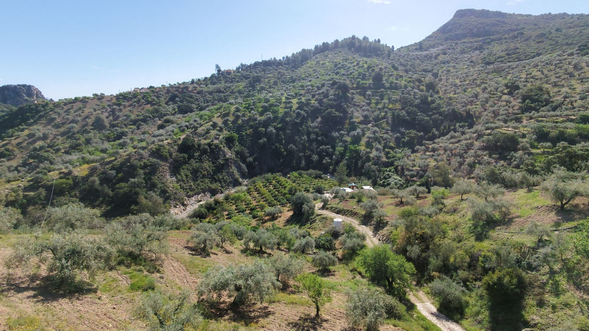 Property main view 69