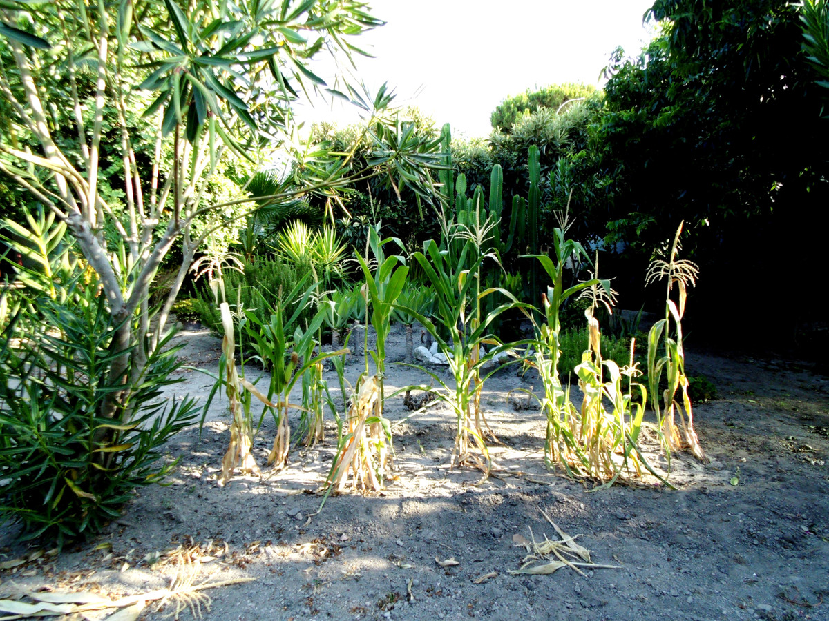 Property main view 33