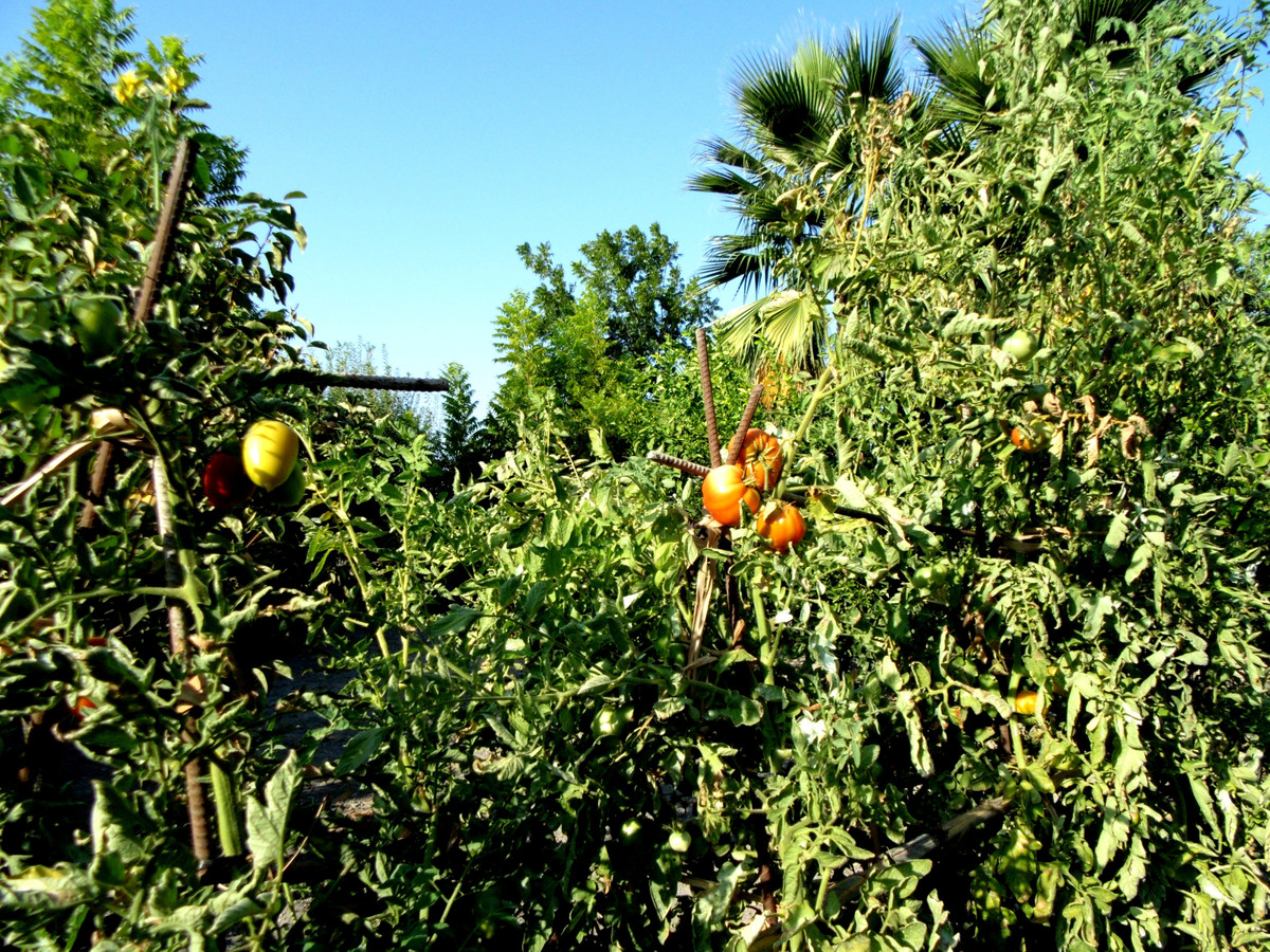 Property main view 38