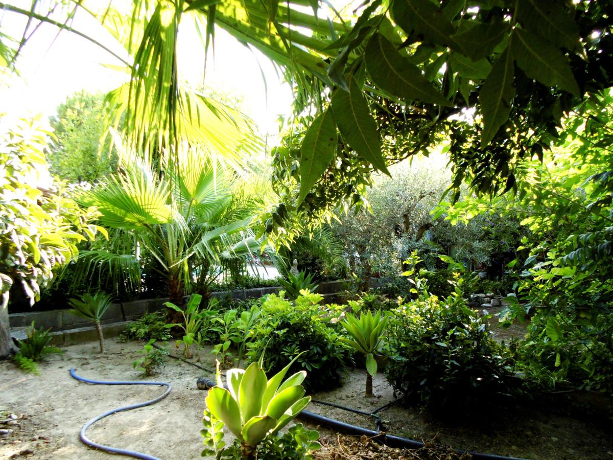 Property main view 39