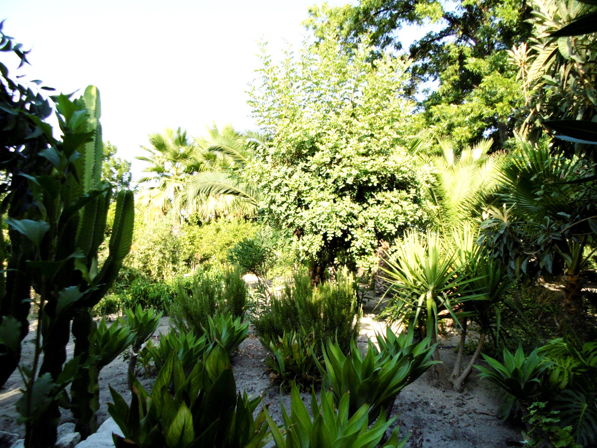 Property main view 40