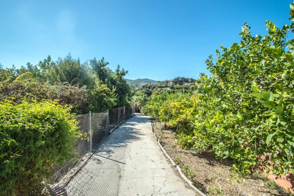 Property main view 45