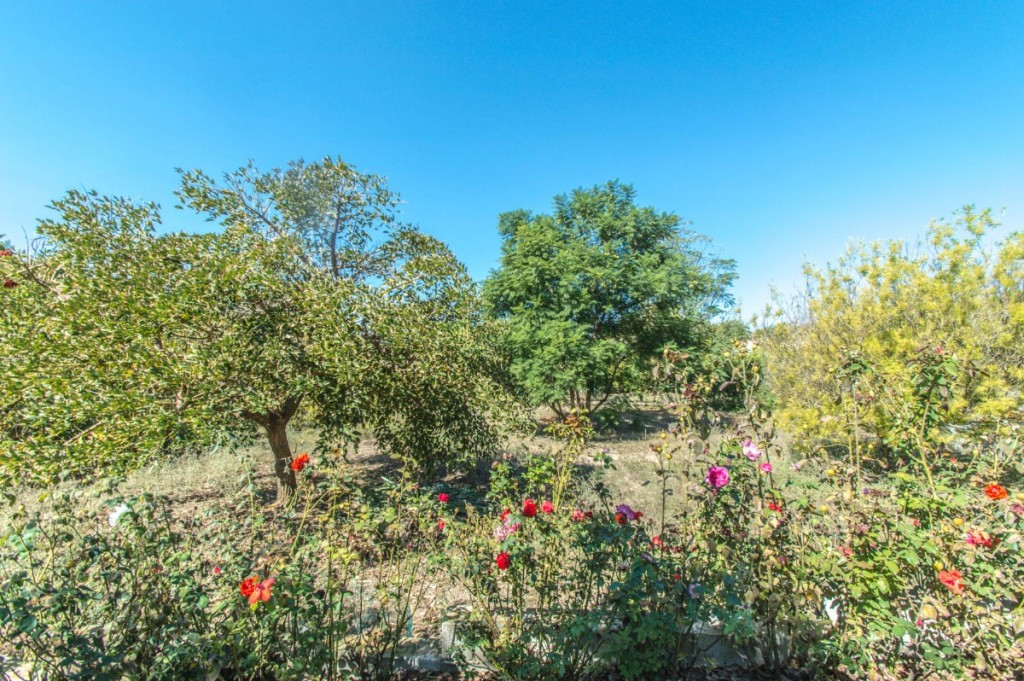 Property main view 46