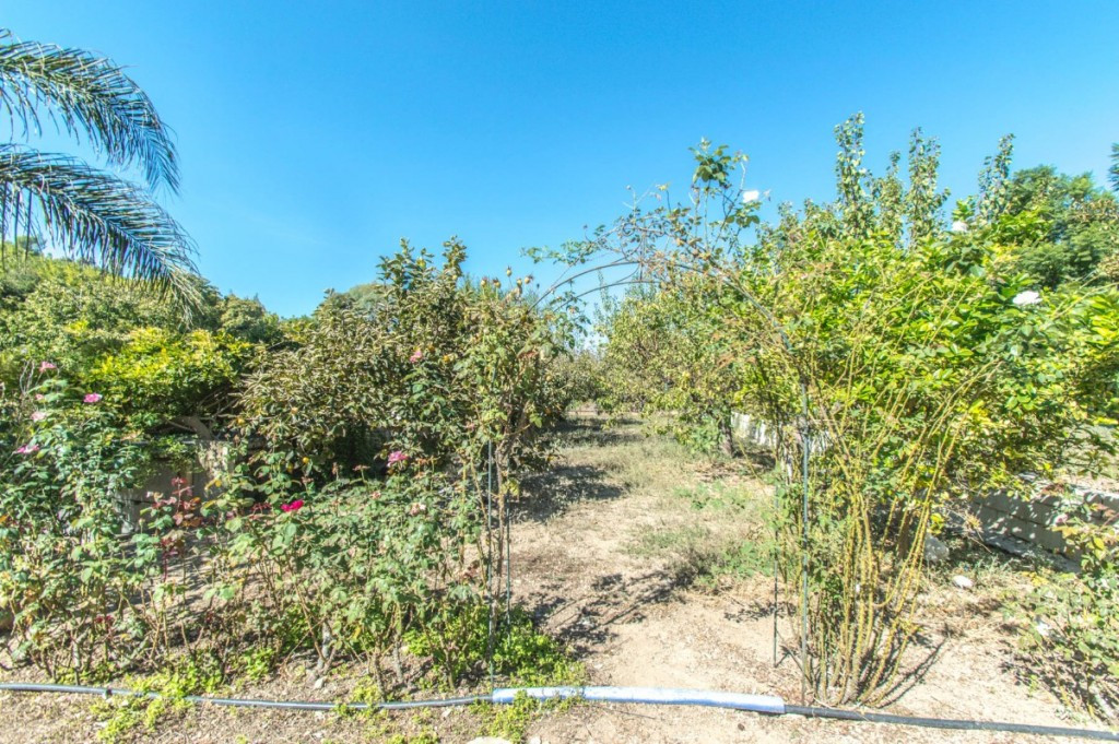 Property main view 47