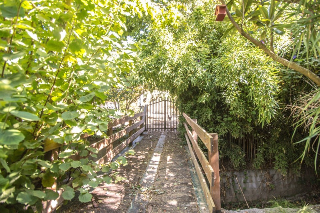 Property main view 50