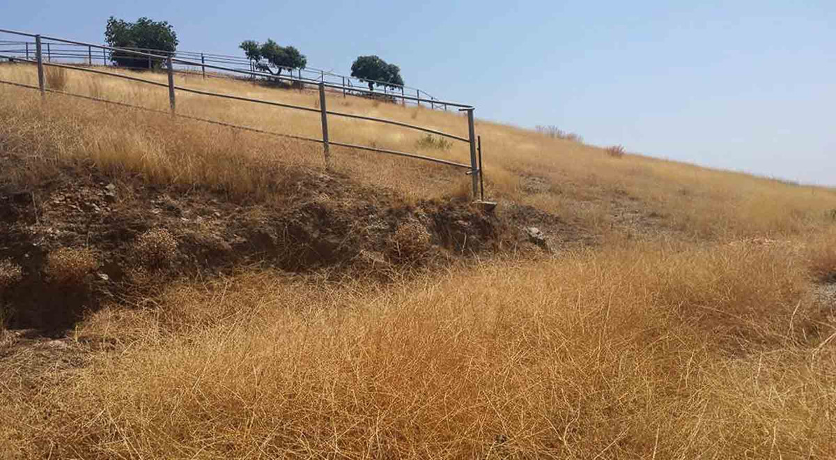 Property main view 9