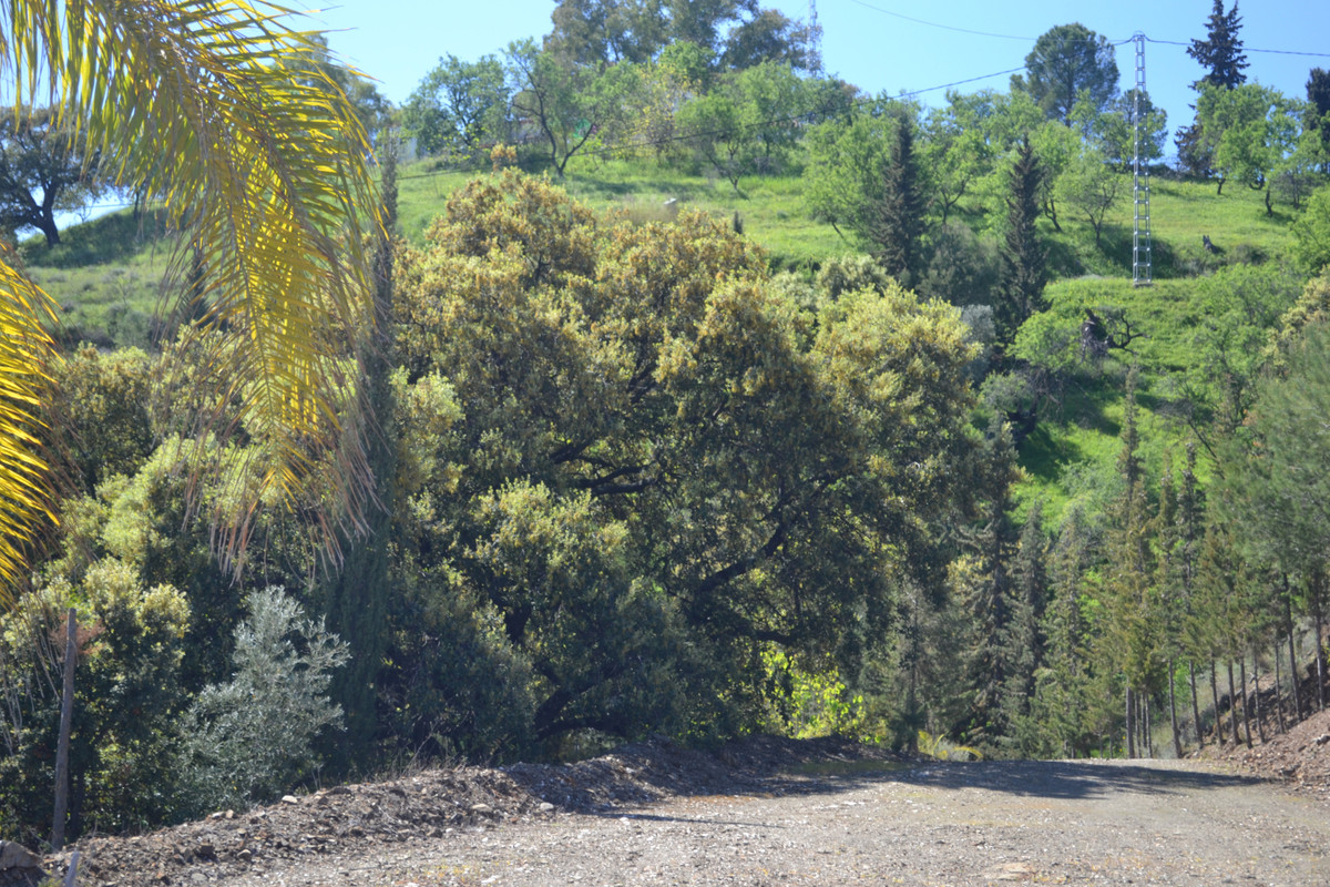 Property main view 28