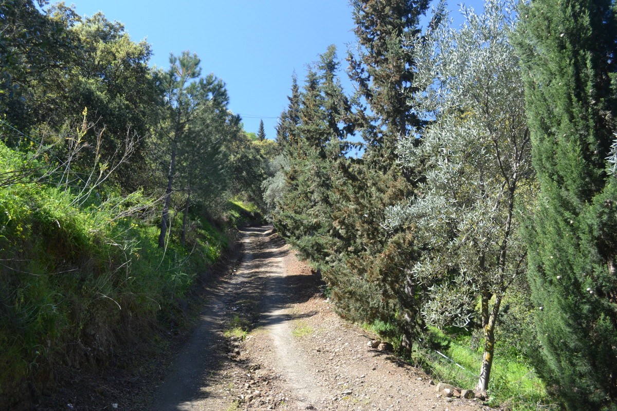 Property main view 30