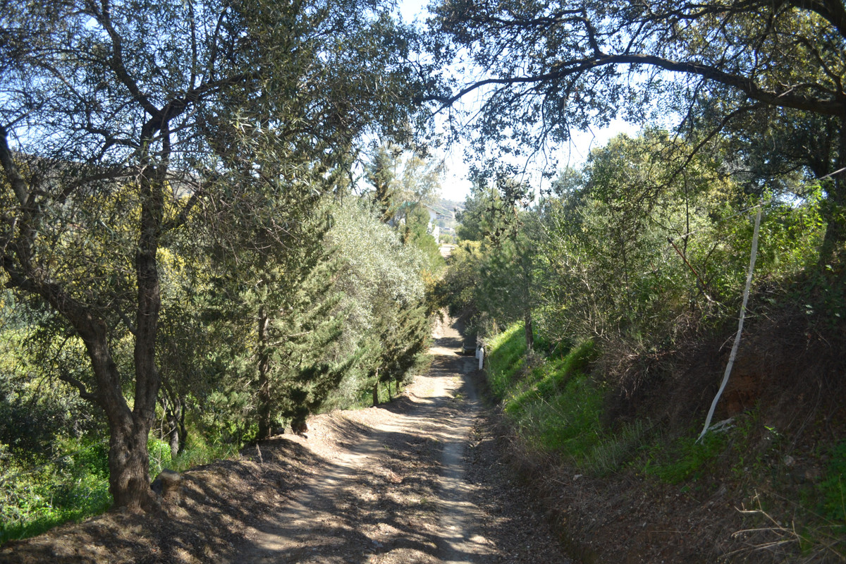 Property main view 31