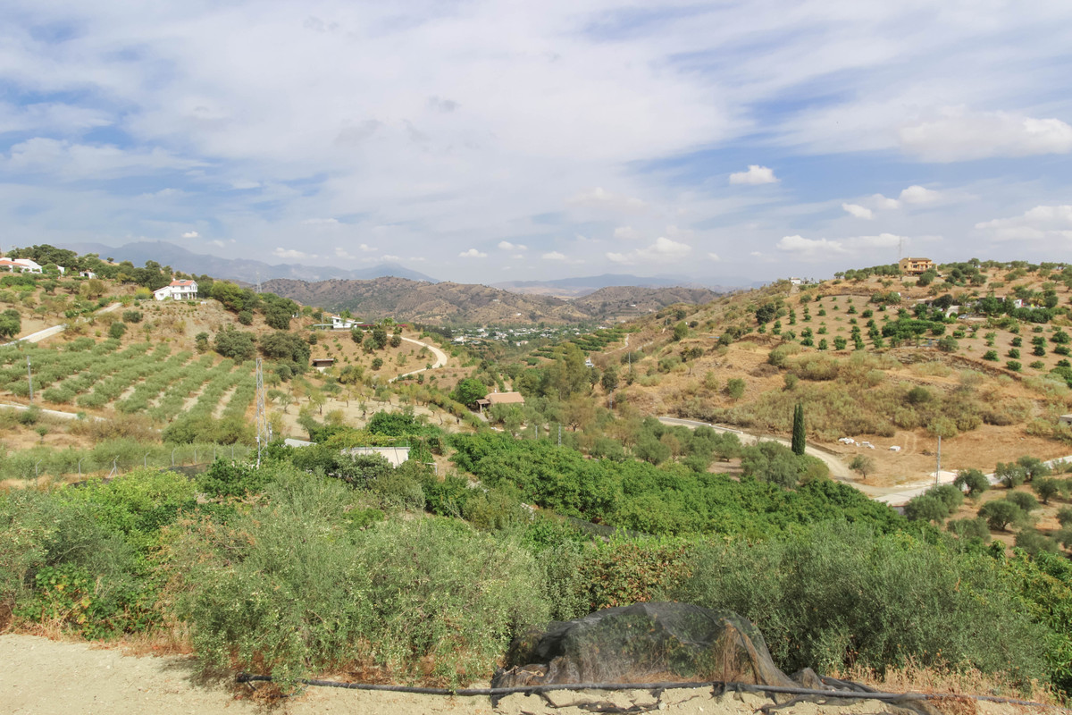 Property main view 50