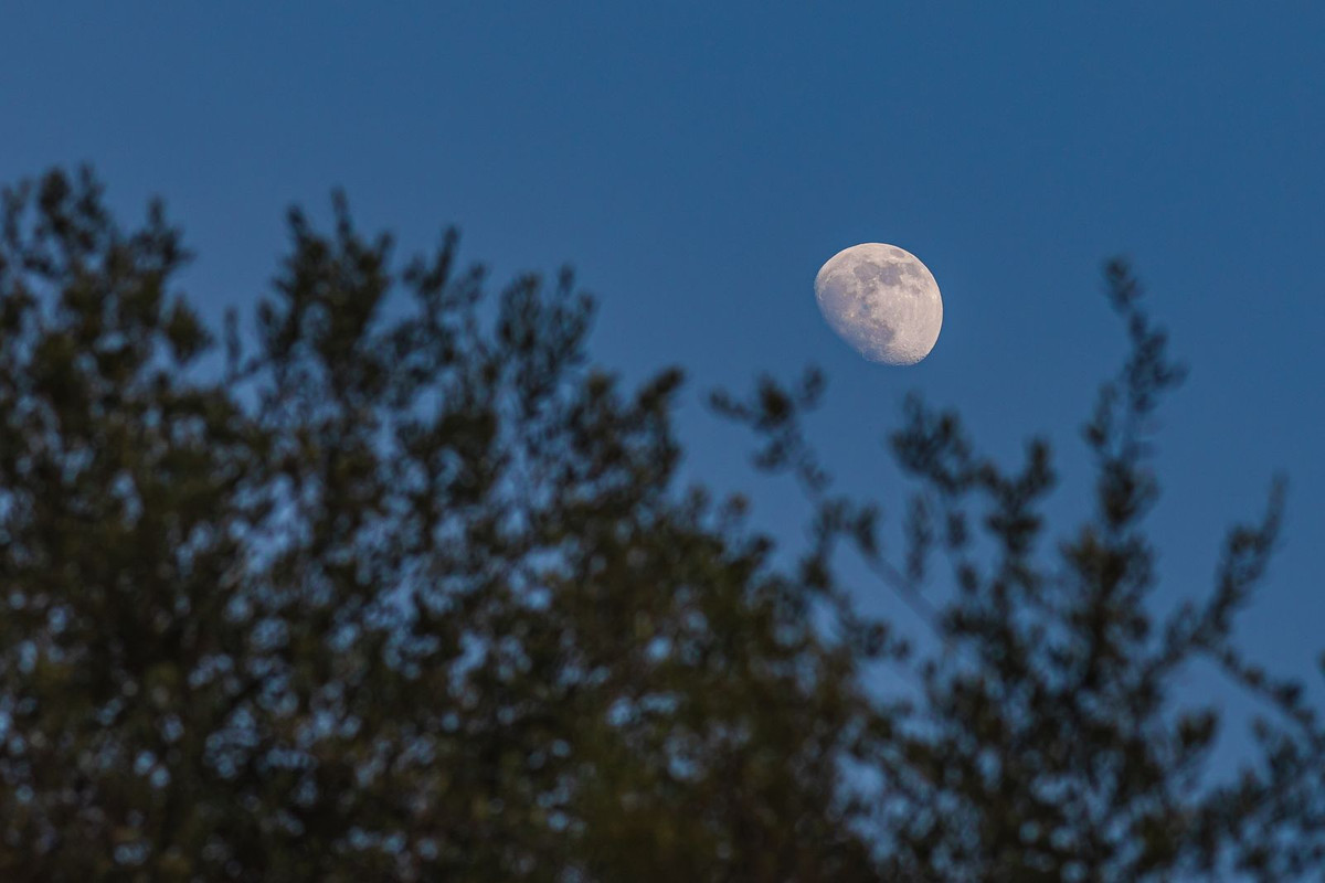 Property main view 72