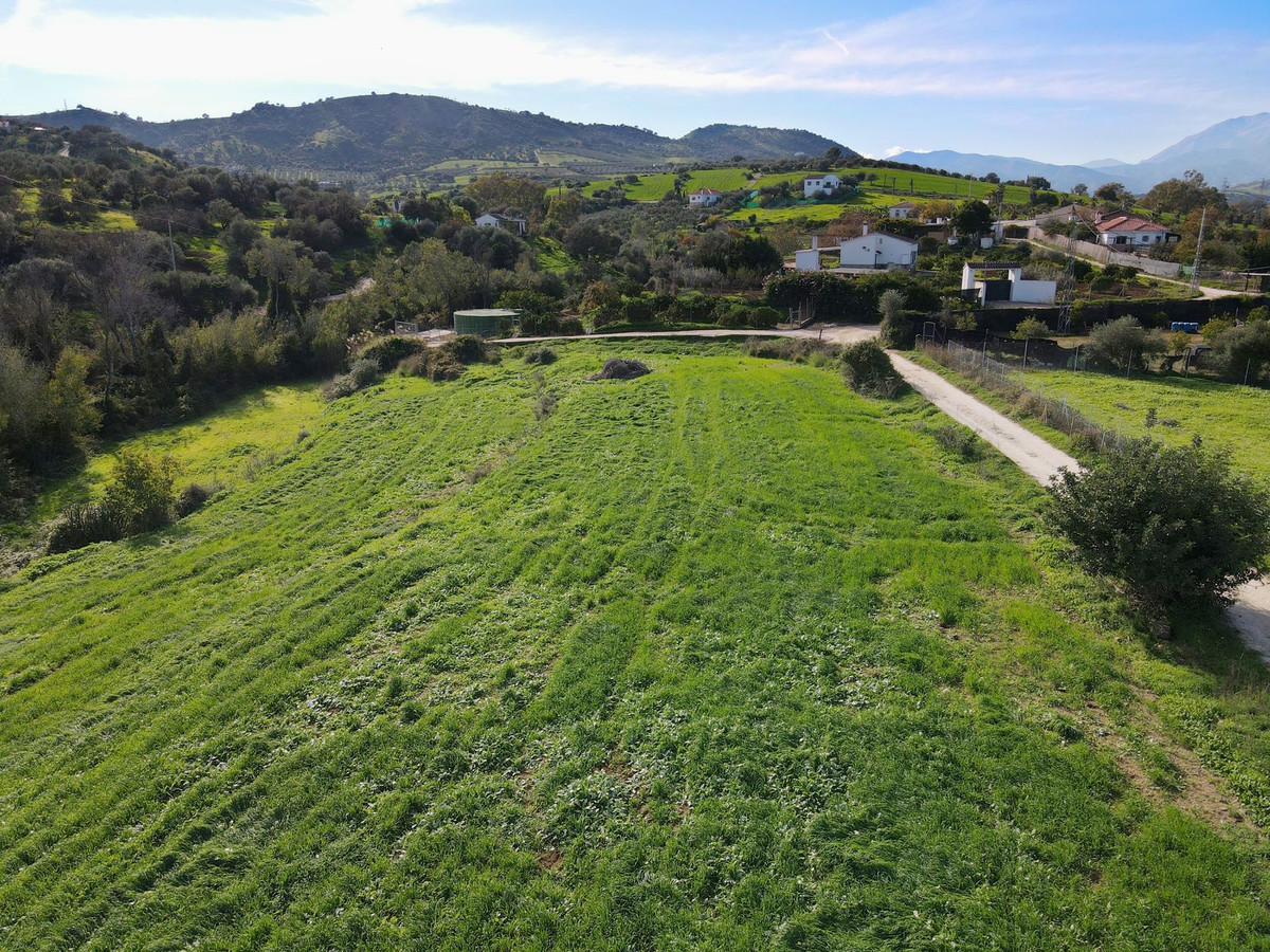 Finca - Cortijo in Coín-11