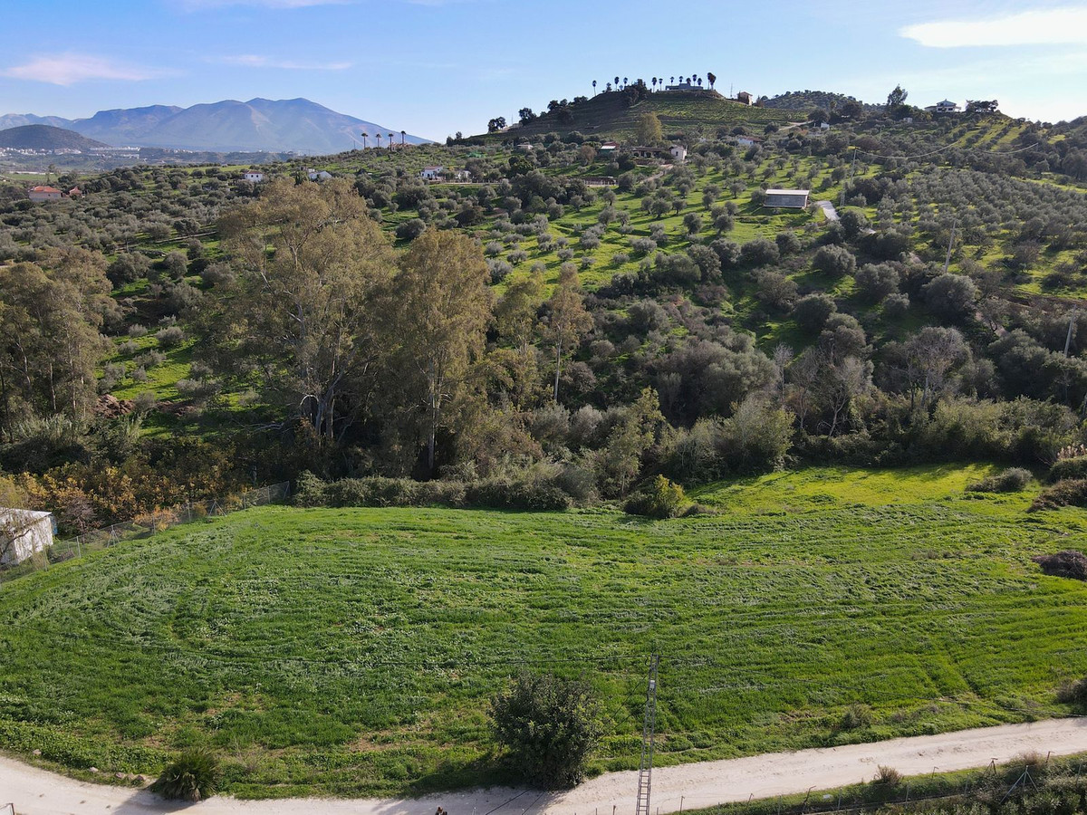 Finca - Cortijo in Coín-13