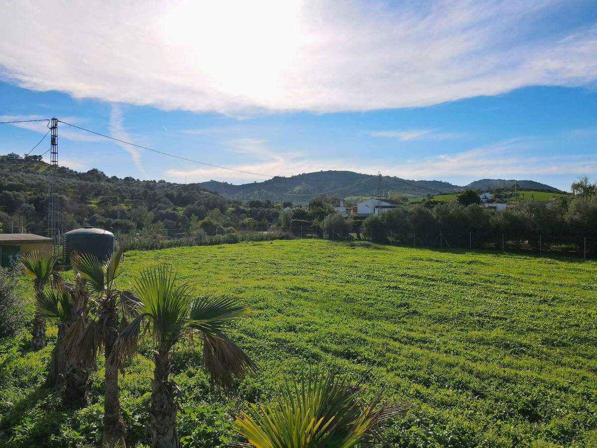 Finca - Cortijo in Coín-15