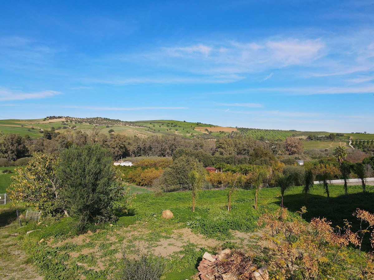 Finca - Cortijo in Coín-16