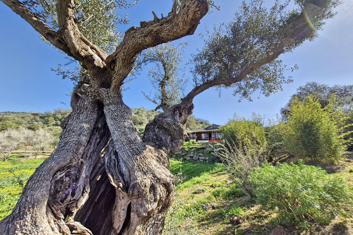 Property main view 19