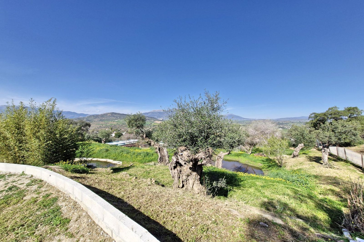 Property main view 25