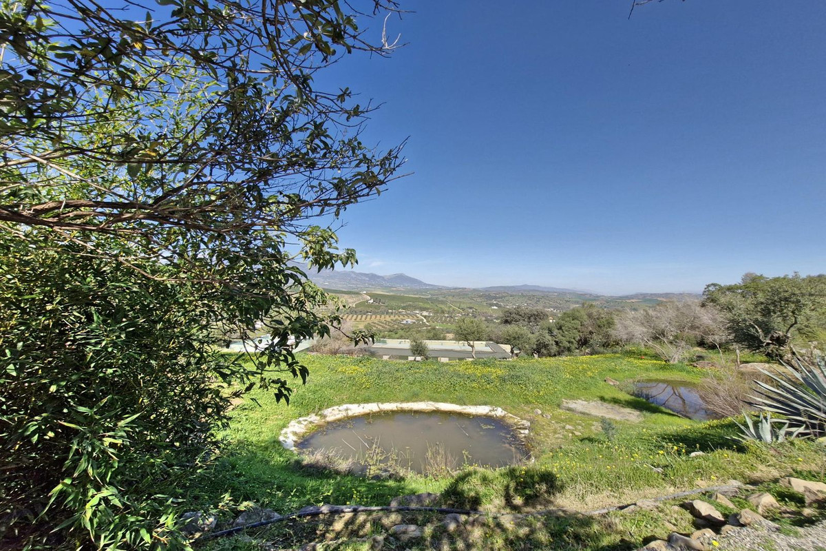 Property main view 32