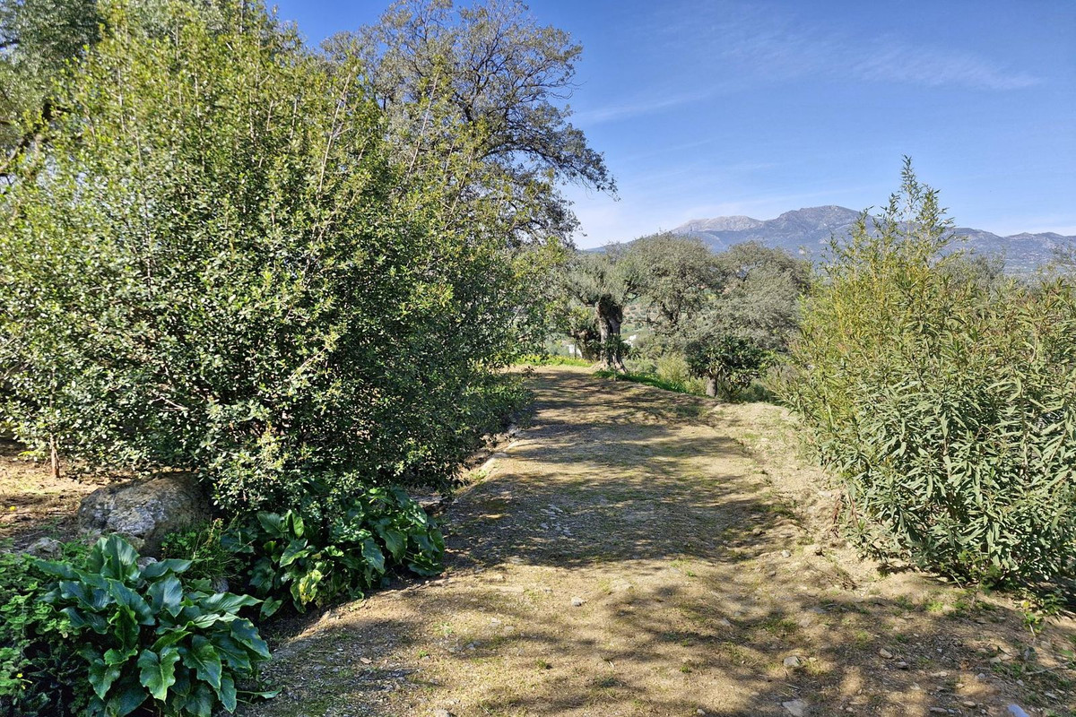 Property main view 33