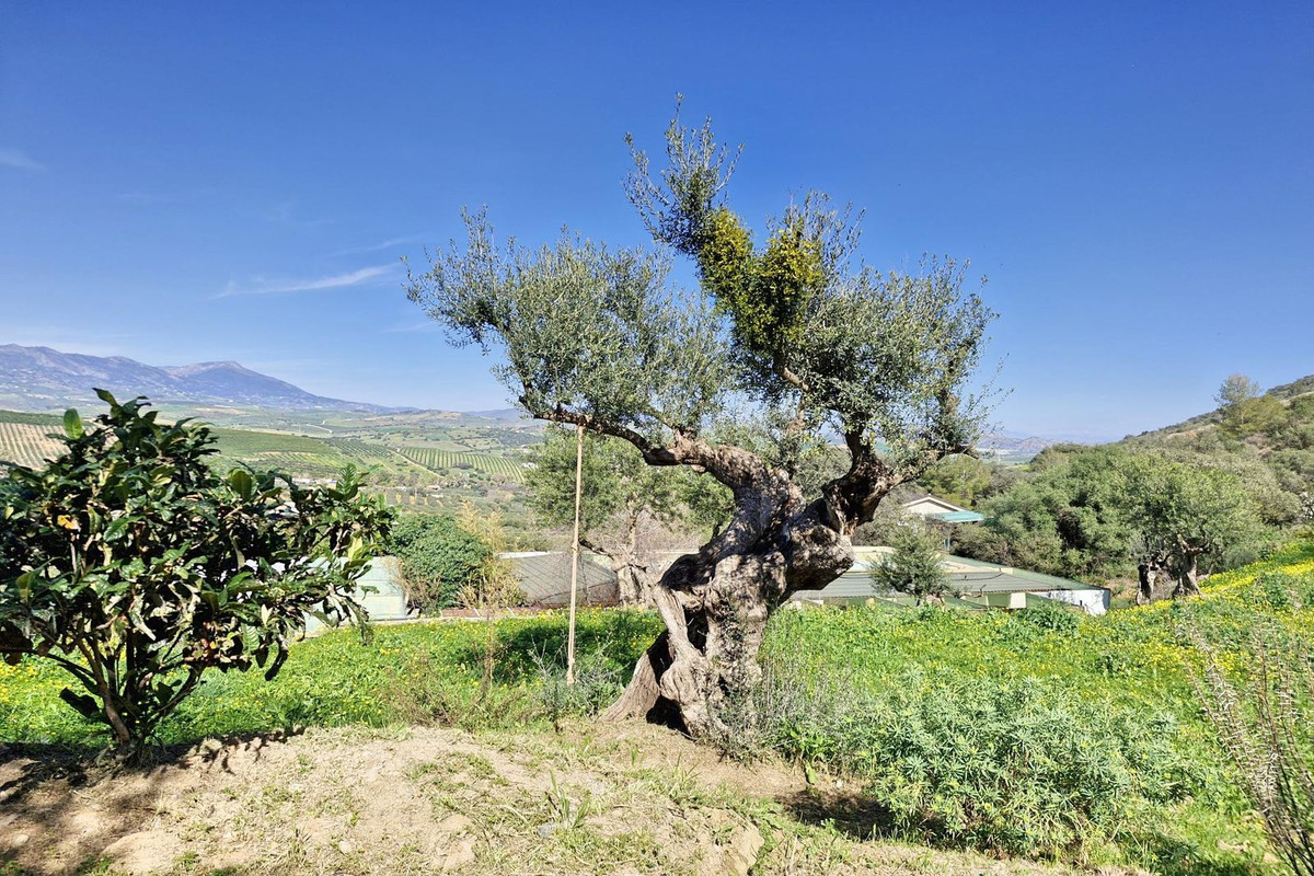 Property main view 34