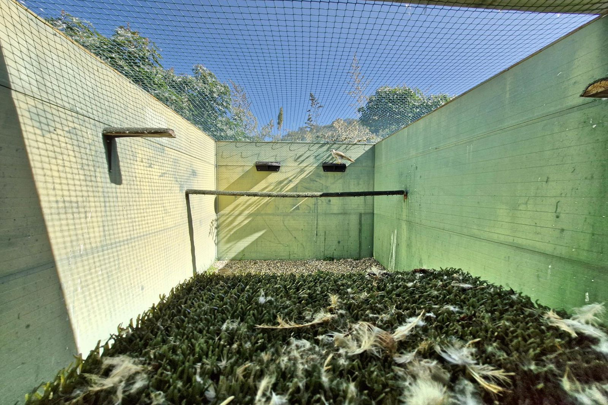 Property main view 42