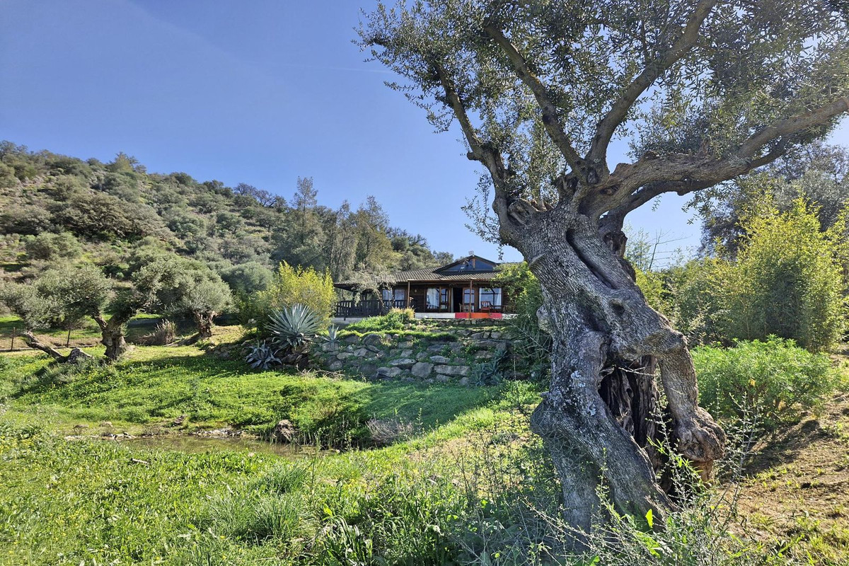 Property main view 43