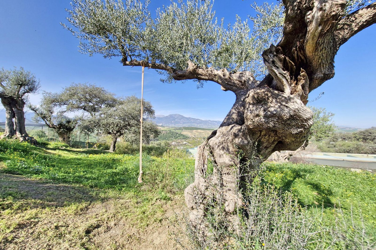 Property main view 45