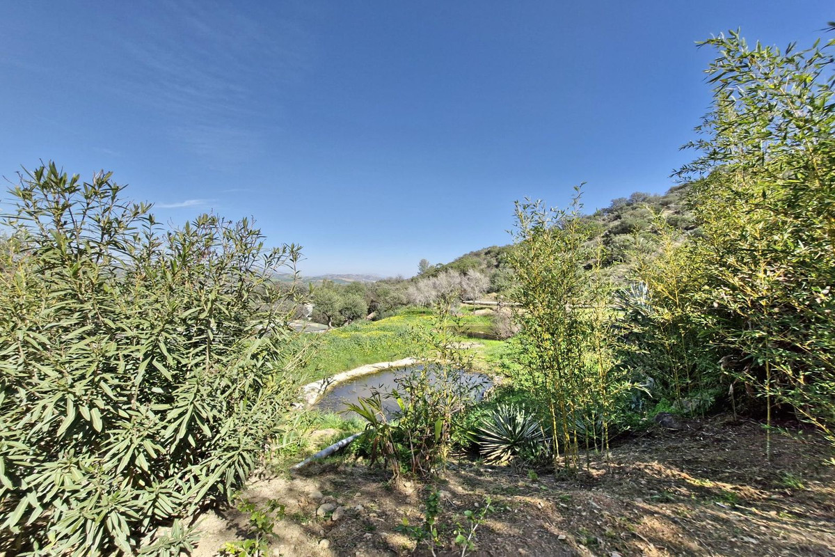 Property main view 47