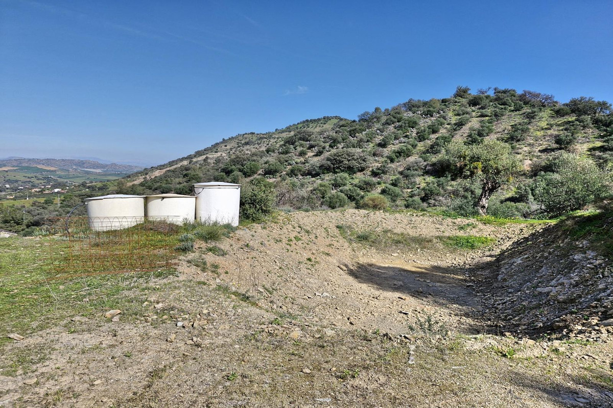 Property main view 49