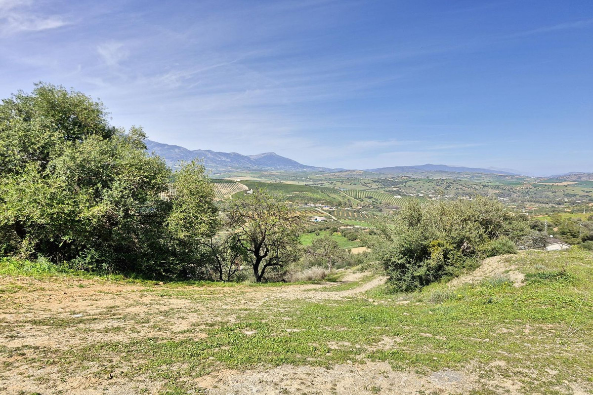 Property main view 50