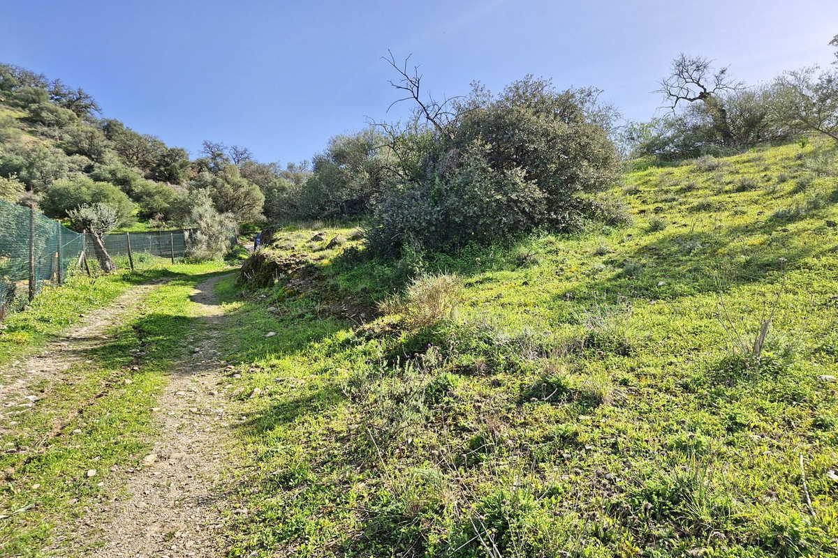 Property main view 51