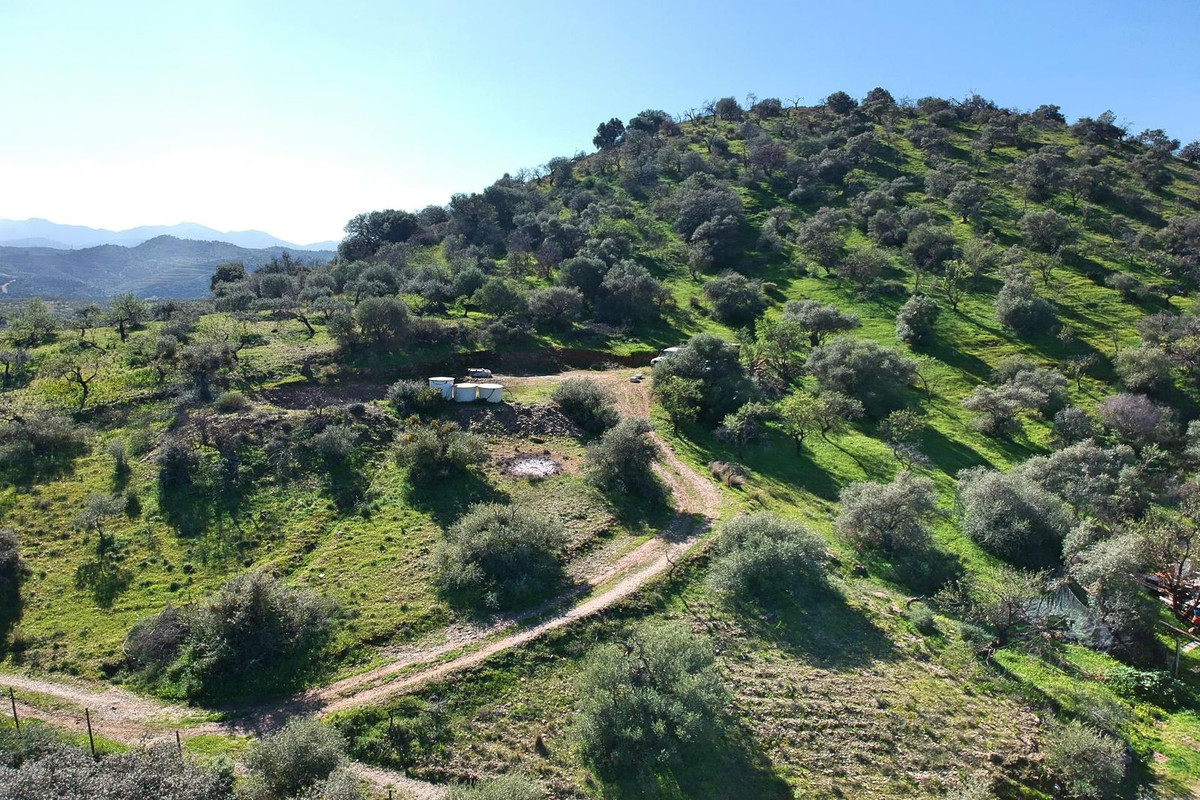 Property main view 53