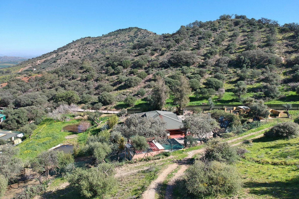 Property main view 54