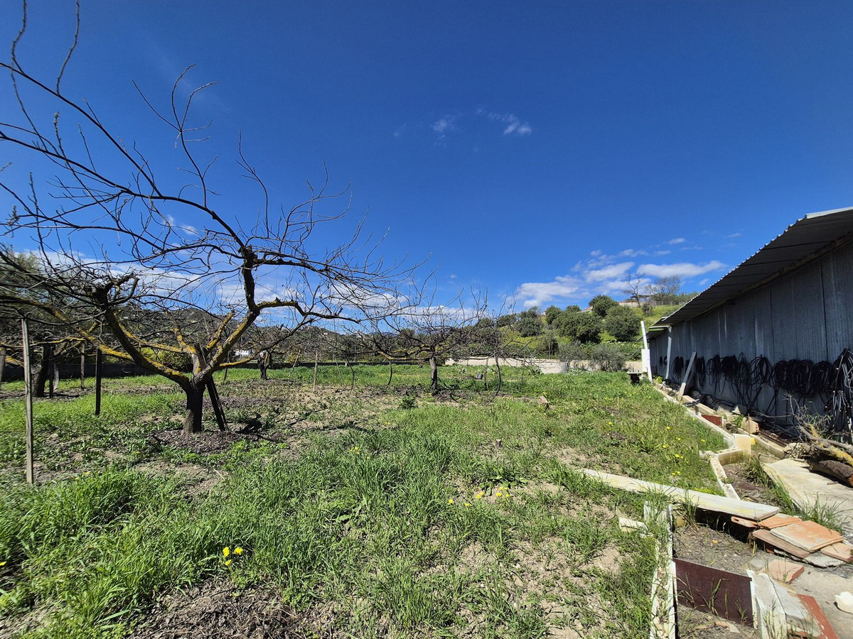 Property main view 71