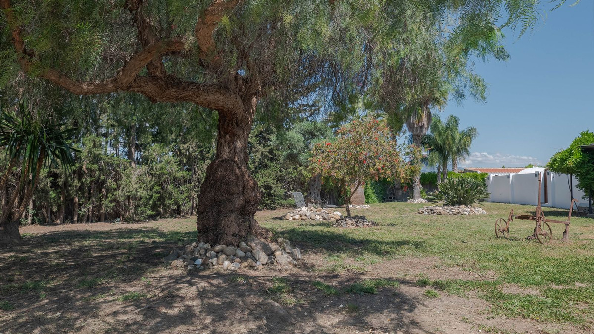 Finca - Cortijo te koop in Coín | 4 slaapkamers H5043535