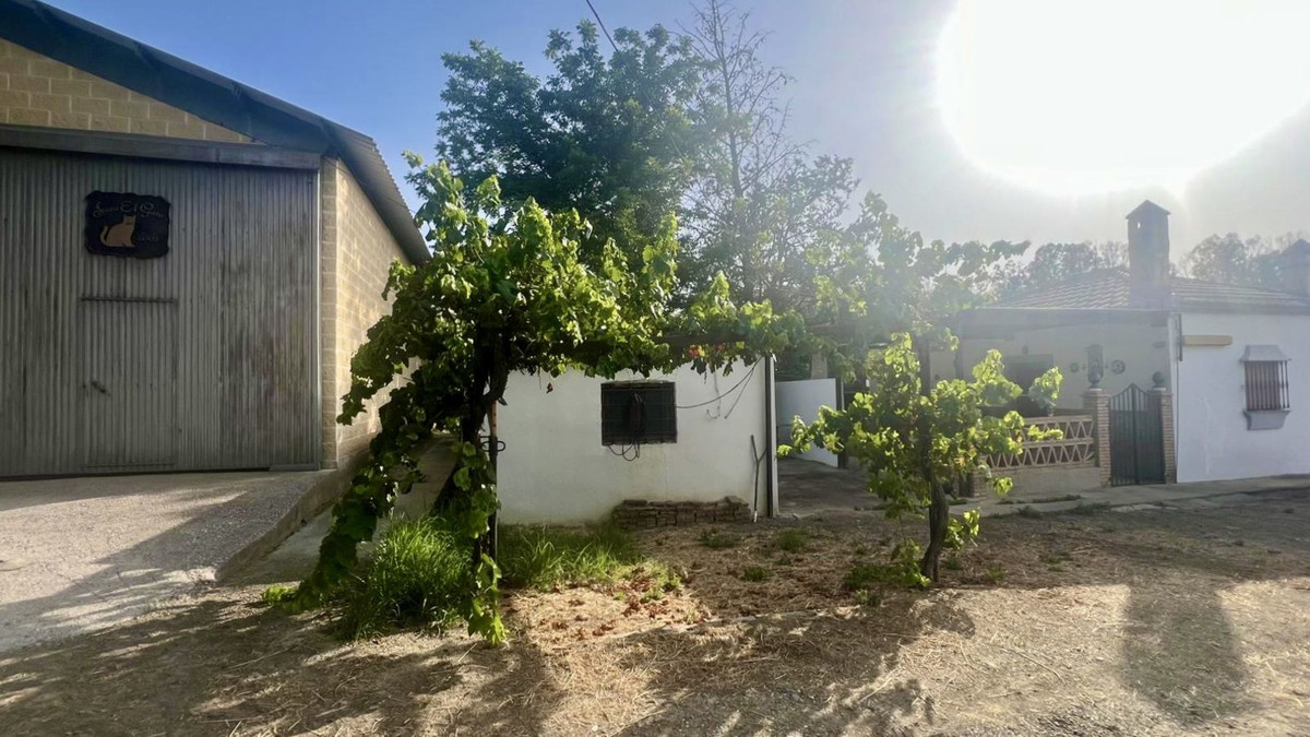 Finca - Cortijo te koop in Coín | 1 slaapkamers H5077327
