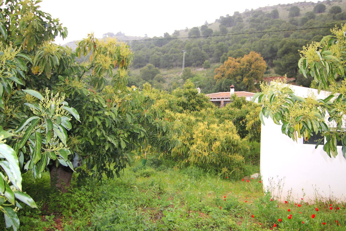 Finca - Cortijo te koop in Coín | 3 slaapkamers H5078869