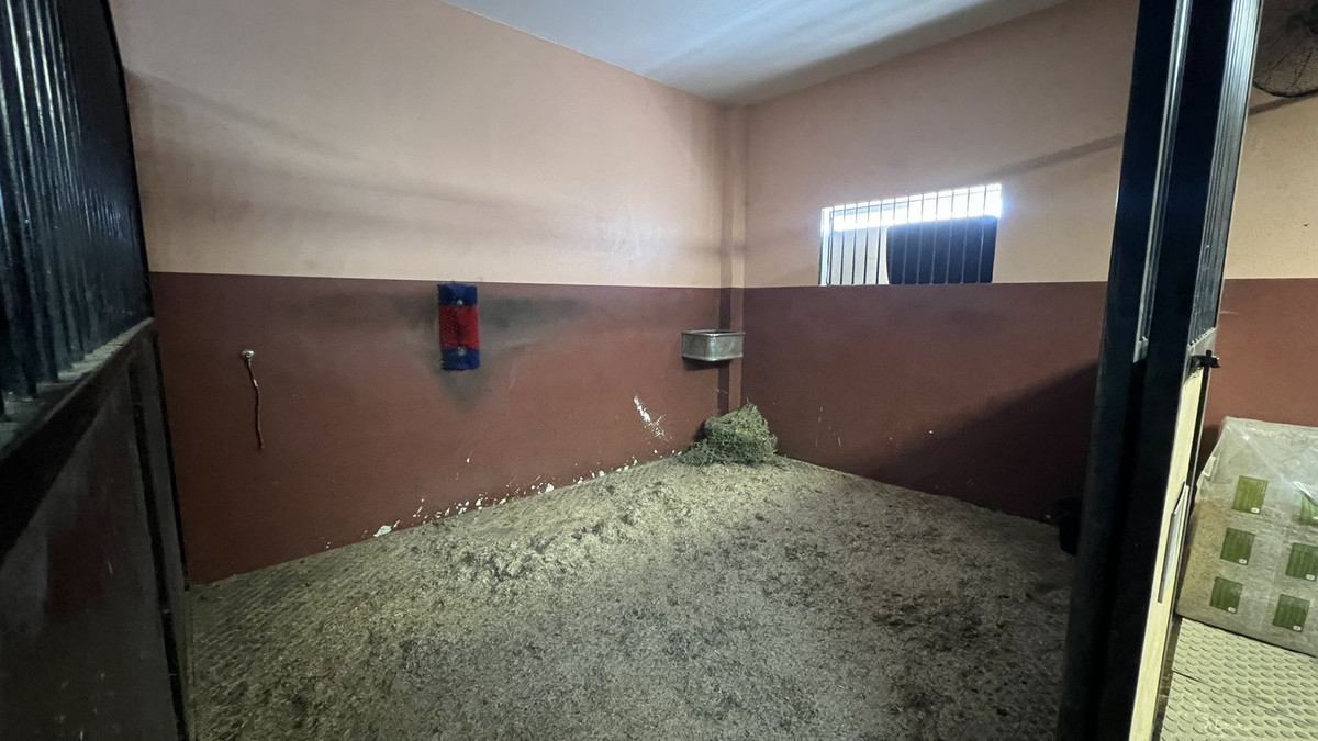 Finca - Cortijo te koop in Coín | 6 slaapkamers H5120563